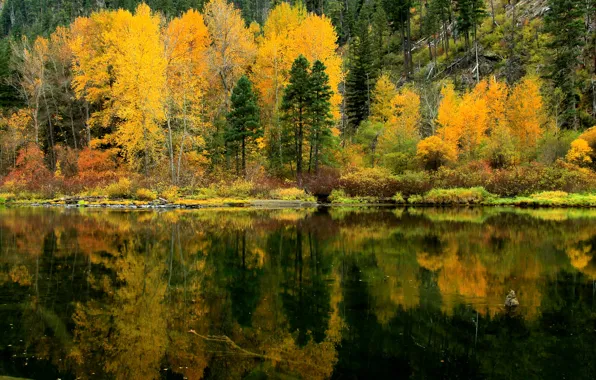 Осень, лес, деревья, озеро, отражение, склон