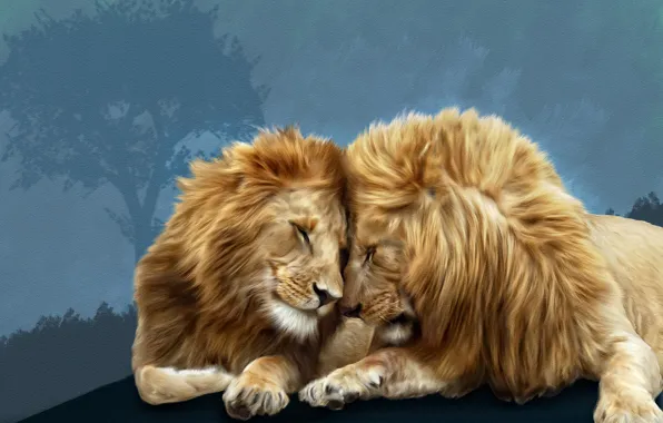 Картинка львы, Photoshop, братская любовь