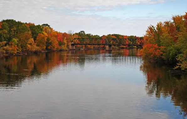 Картинка Осень, Озеро, Nature, Цвета, Bridge, Autumn, Colors, Мостик