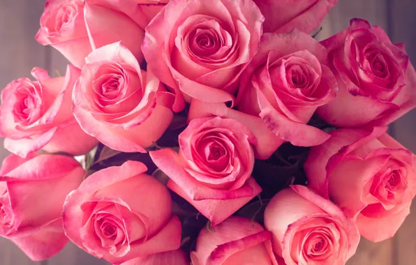 Розы, букет, pink, roses, bouguet, Abelena