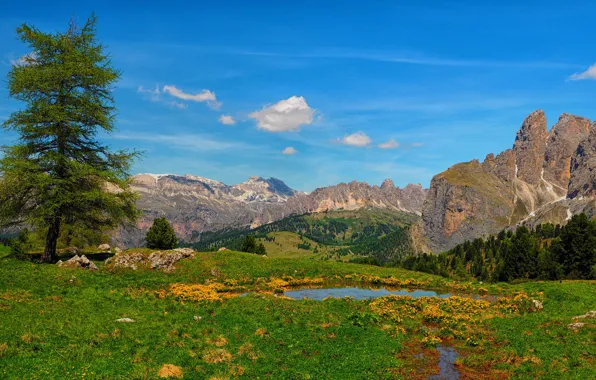 Картинка горы, ручей, дерево, Италия, Italy, водоём, Доломитовые Альпы, Южный Тироль