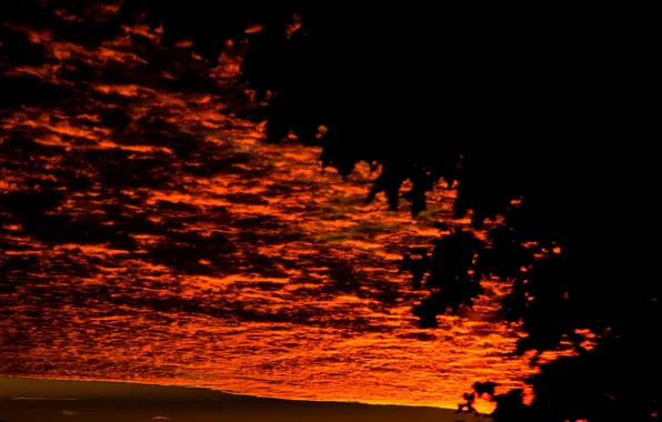 Clouds, Sky, Tree, Sunset, Autumn, View, Leaves, Gloomy