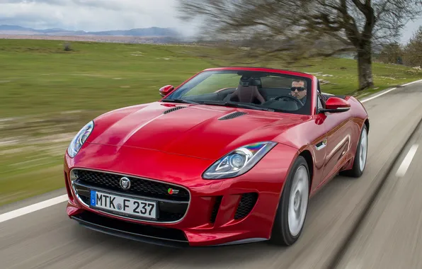 Машина, скорость, Jaguar, передок, F-Type