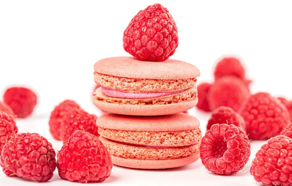 Ягоды, малина, печенье, выпечка, Macaron, макарун