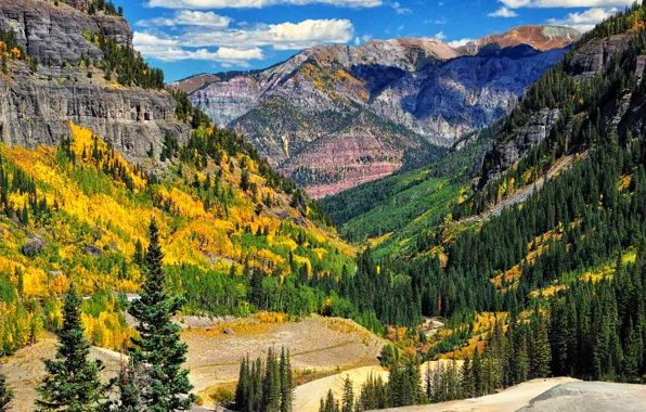 Картинка осень, лес, небо, облака, деревья, горы, склон