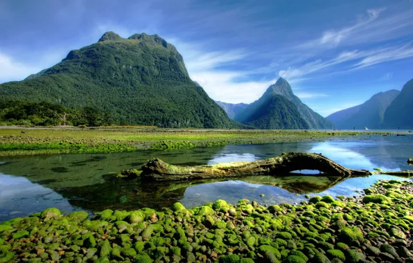Forest, sky, trees, landscape, New Zealand, nature, water, mountains