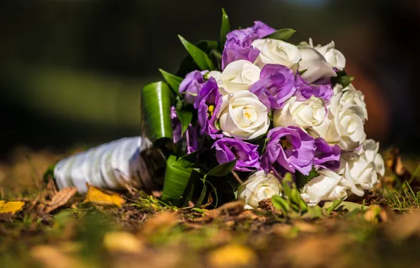 Розы, букет, свадьба, Roses, wedding, эустома, Bouquets