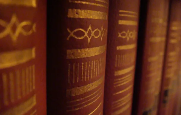Книги, переплет, библиотека, обложка, полка книг