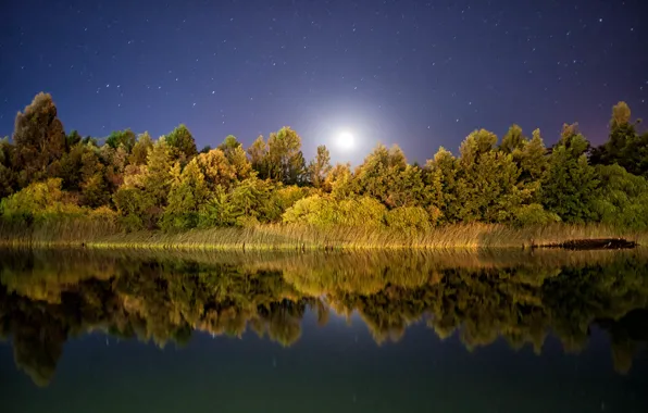 Звезды, отражение, зеркало, лунный свет, деревья озеро