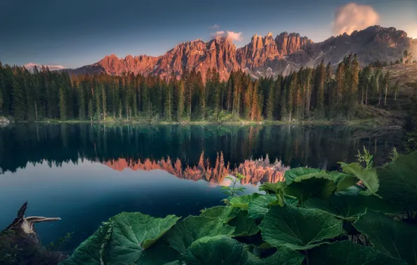 Лес, листья, горы, озеро, отражение, скалы