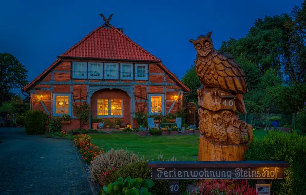 Цветы, дом, газон, сова, здание, Германия, Germany, Нижняя Саксония