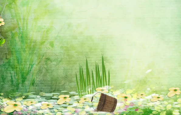 Картинка трава, вода, цветы, ведро, кувшинки