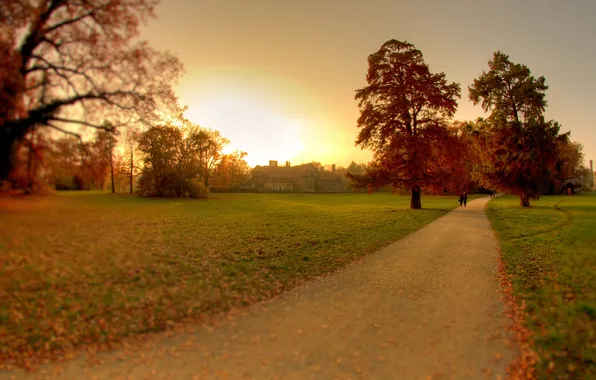 Картинка осень, природа, парк, англия, прогулка
