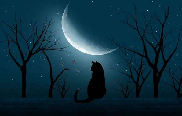 Крыша, кошка, небо, кот, звезды, свет, деревья, ночь