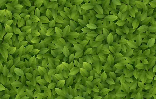 Green, nature, leaf