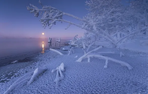 Картинка зима, снег, деревья, река, рассвет, утро, Россия, Московская область