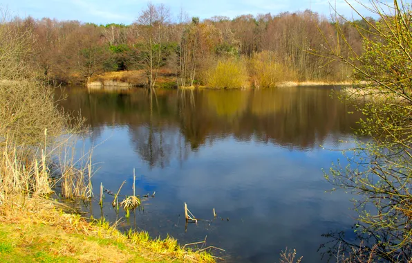 Park, lake, pond
