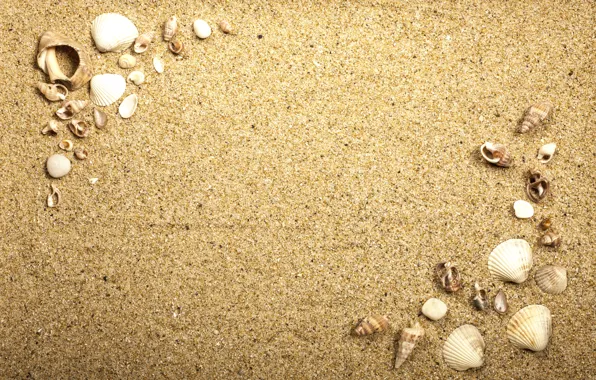Картинка beach, texture, sand, marine, seashells, песок ракушки