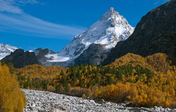 Картинка осень, лес, горы, камни, вершина, Россия, Кабардино-Балкария, Кавказские горы