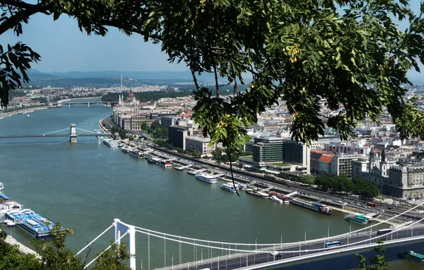 Картинка вода, мост, город, река, Будапешт, Дунай