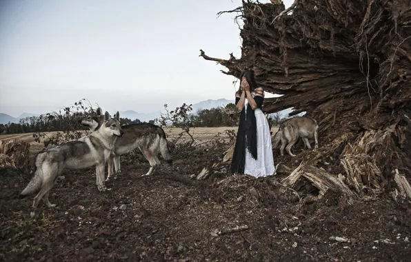 Девушка, волк, ситуация