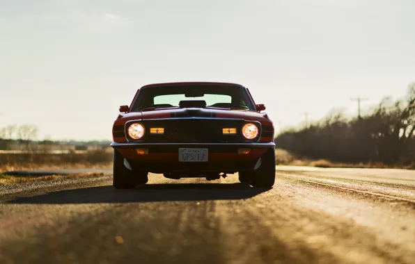 Mustang, Ford, Форд, Мустанг, Mach 1, Muscle Car