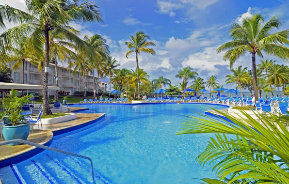 Пальмы, бассейн, pool, курорт, Карибы, Caribbean, St.Lucia, beach resort