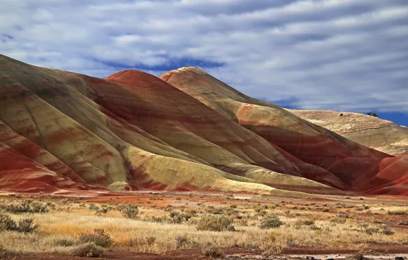 Картинка Орегон, США, John Day Fossil Beds National Monument, Painted Hills