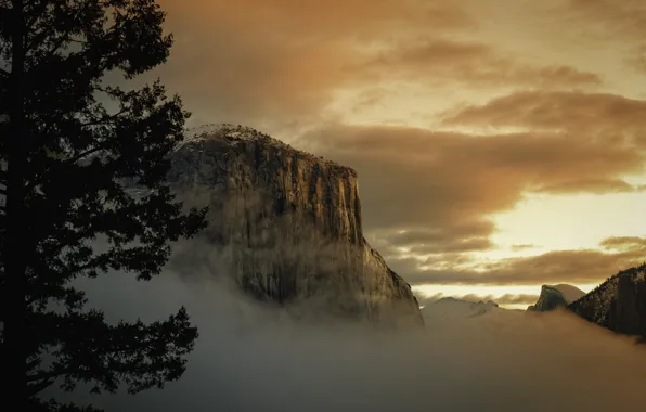Картинка туман, утро, США, Йосемити, национальный парк, скала Эль Капитан