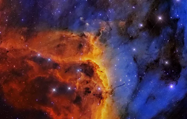 Картинка космос, Туманность Пеликан, созвездие, мироздание