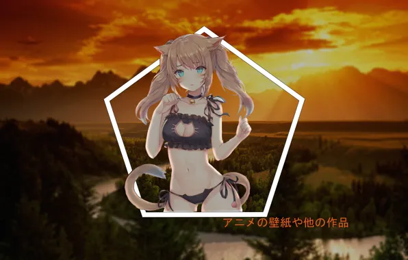 Девушка, закат, аниме, неко, anime, madskillz