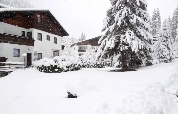 Зима, Австрия, Снег, Дом, Winter, Home, Snow, Snow trees
