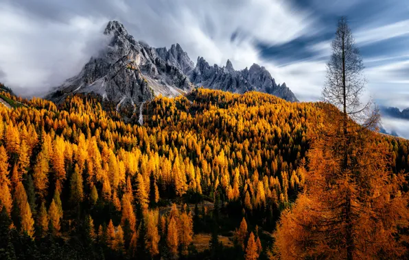 Осень, облака, деревья, горы, Италия, Dolomites