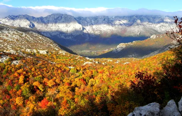 Картинка осень, лес, деревья, горы, вершины, Небо, forest, trees