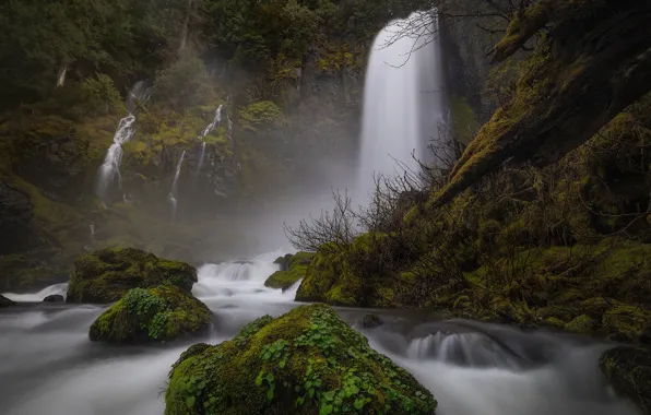 Картинка лес, река, камни, мох, водопады, Columbia River Gorge, Washington State, Ущелье реки Колумбия