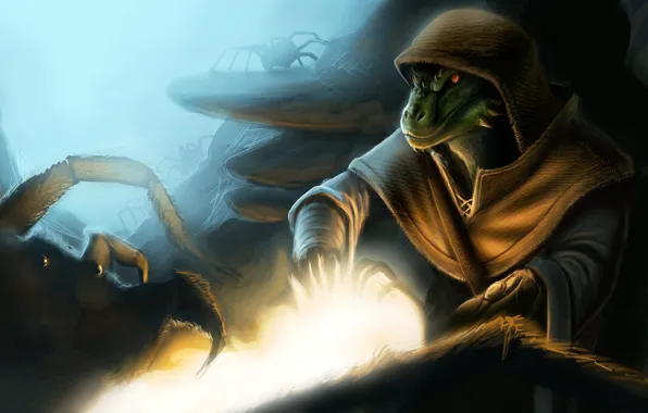 Паук, Skyrim, The Elder Scrolls V, Аргонианин