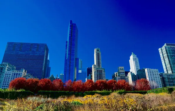 Осень, небо, деревья, дома, Чикаго, США