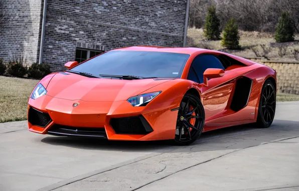 Картинка wheels, lamborghini, black, orange, aventador