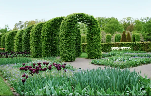 Картинка растения, весна, сад, тюльпаны, арки, Nature, park, garden