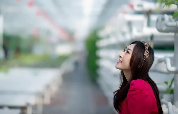Mood, asian, oriental