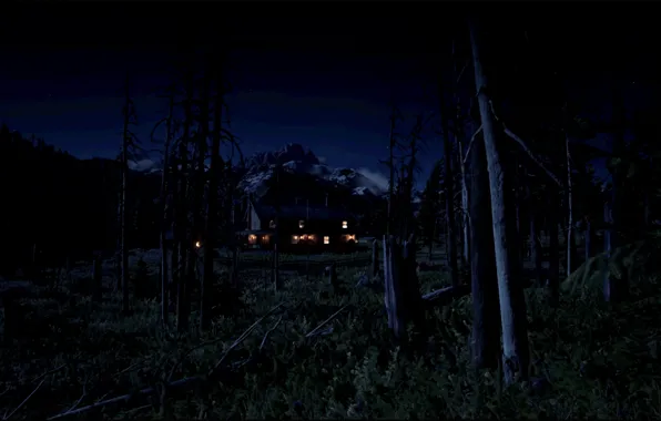 HDR, Wood, Mountain, Night, Game, Farm, UHD, Red Dead Redemption 2