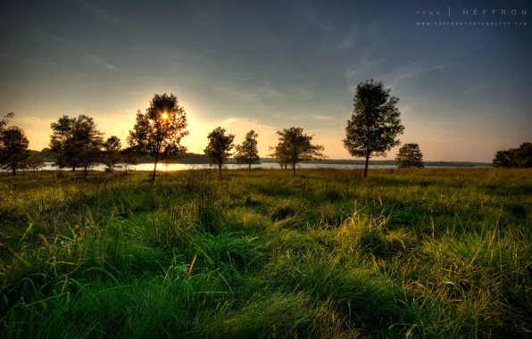 Картинка трава, солнце, закат, дерево, Река