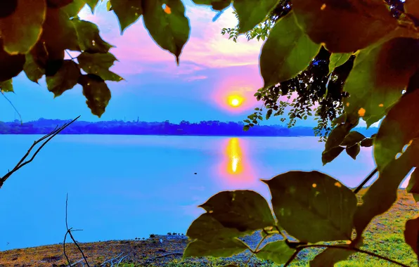 Sun, Water, Sunrise, Dawn, Morning, Lake, Trees, Reflection