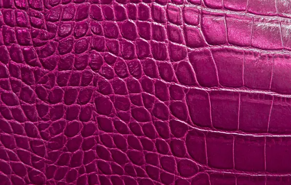 Reptile, scales, texture alligator skin