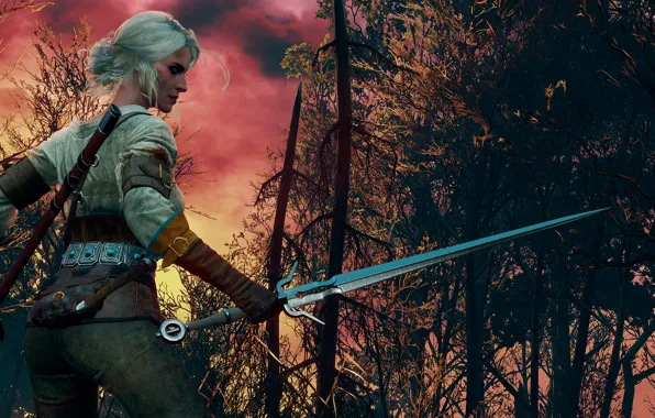 Картинка Ведьмак, Цири, The Witcher 3:Wild Hunt, Burning skies