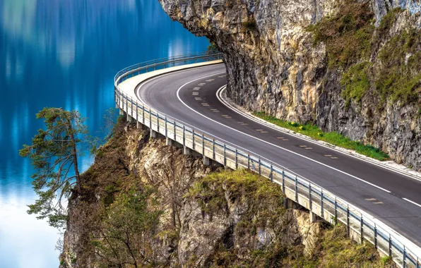 Картинка дорога, скала, озеро, дерево, Швейцария, Switzerland, сосна, Lake Thun