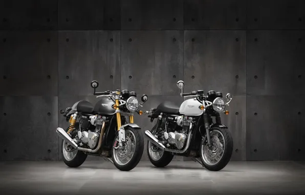 Motorcycle, triumph, truxton 2016