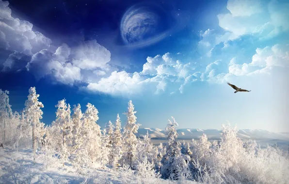 Картинка зима, небо, снег, деревья, орел, планета