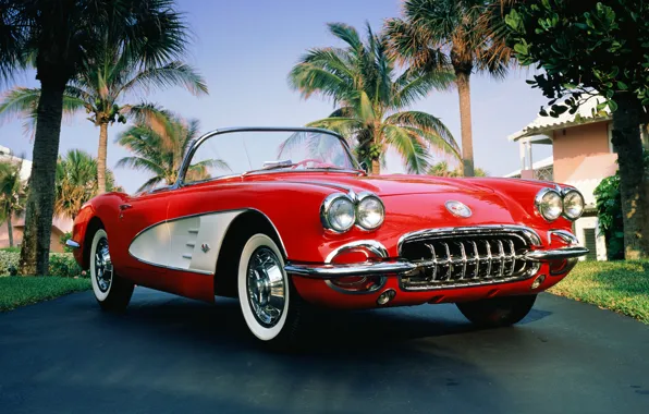 Пальма, 1960, corvette, кабриолет, chevrolet, convertible