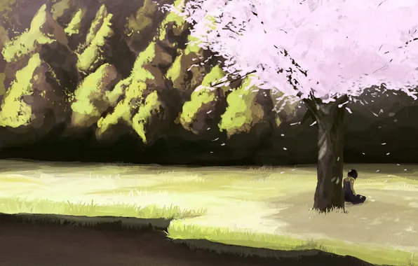 Картинка девушка, река, дерево, берег, сакура